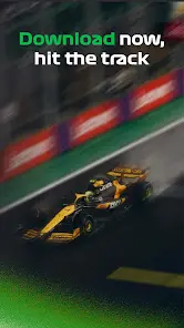 Racify - Beautiful F1 widgets - скриншот 7