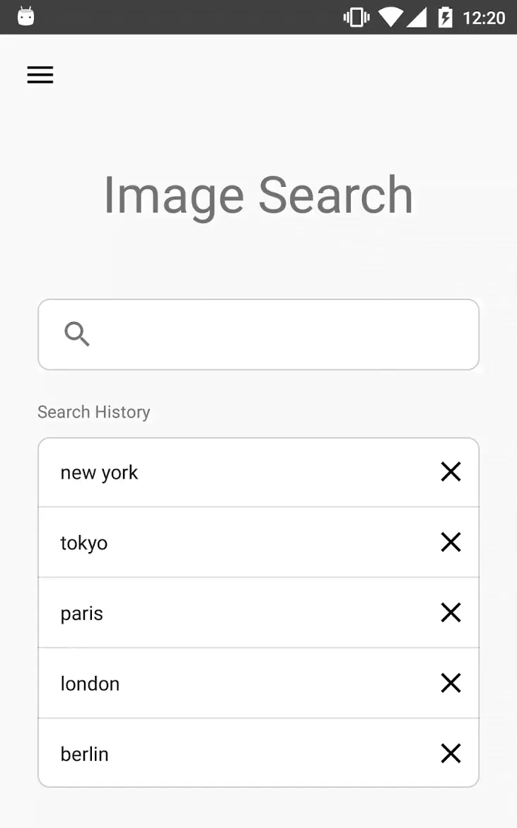 Image Search - ImageSearchMan - скриншот 1