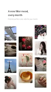 BerryFilm - Korean Style Cam - скриншот 5
