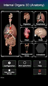 Internal Organs in 3D Anatomy - скриншот 8