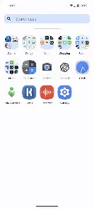 Nova Launcher Lifetime Prime - скриншот 2