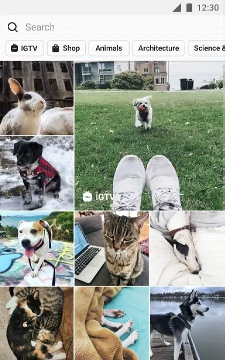Instagram - скриншот 4
