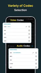 Video Converter, Compressor - скриншот 4