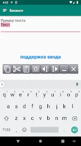 Менеджер буфера обмена - скриншот 4