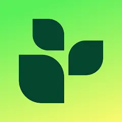 Lifesum: Счётчик калорий с ИИ