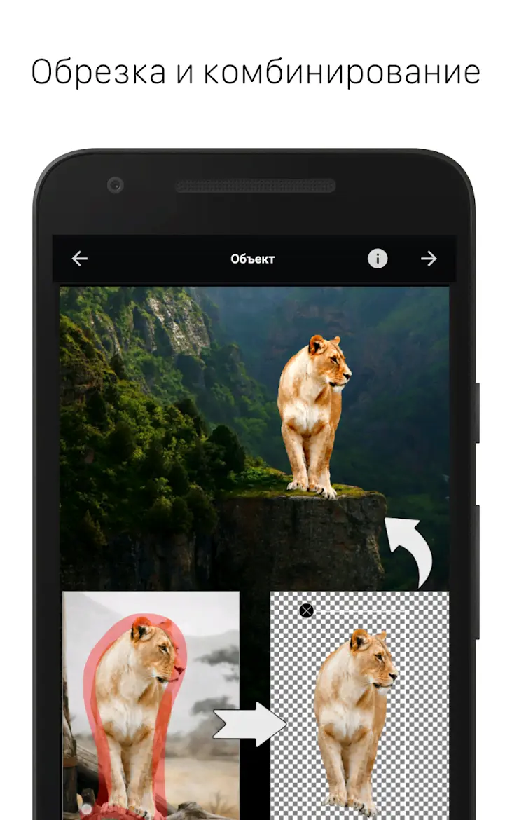 LightX Pro - скриншот 2
