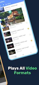 Lua Player Pro: PIP-плеер - скриншот 1