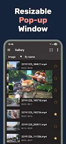 Lua Player Pro: PIP-плеер - скриншот 2