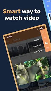 Lua Player Pro: PIP-плеер - скриншот 5