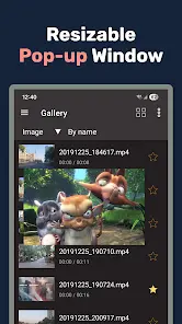 Lua Player Pro: PIP-плеер - скриншот 7