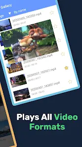 Lua Player Pro: PIP-плеер - скриншот 9