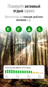 Прозрачные часы погоды Pro - скриншот 4