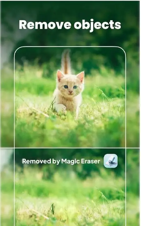 Magic Eraser - скриншот 1