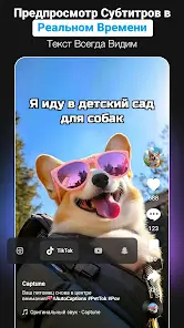 Caption AI: Субтитры для видео - скриншот 7