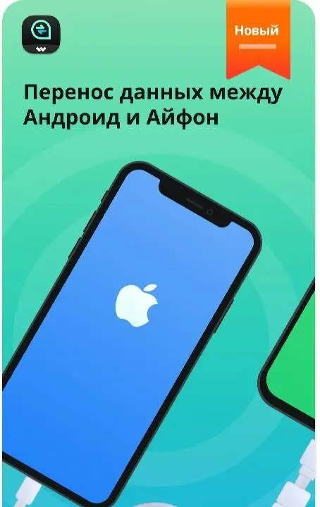 Mutsapper: Data Transfer - скриншот 1
