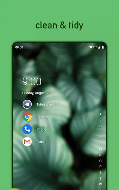 Niagara Launcher - скриншот 1