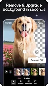 Picsart AI Photo Editor, Video - скриншот 3