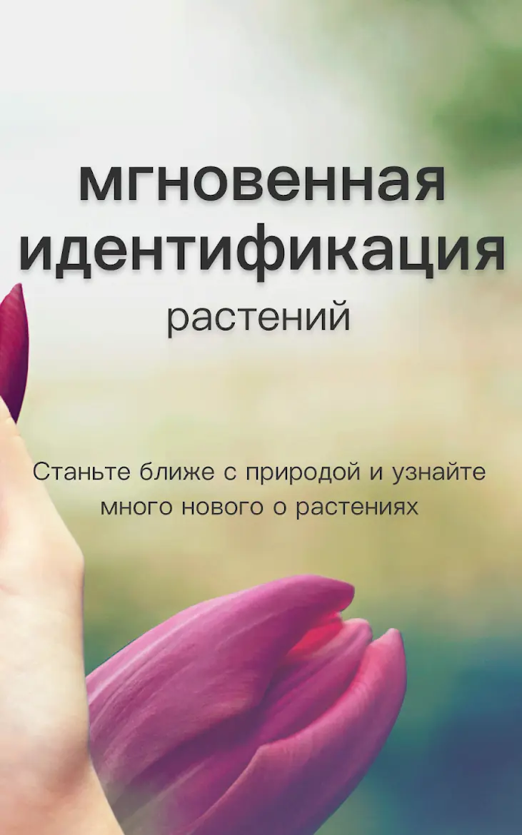 PictureThis - скриншот 2