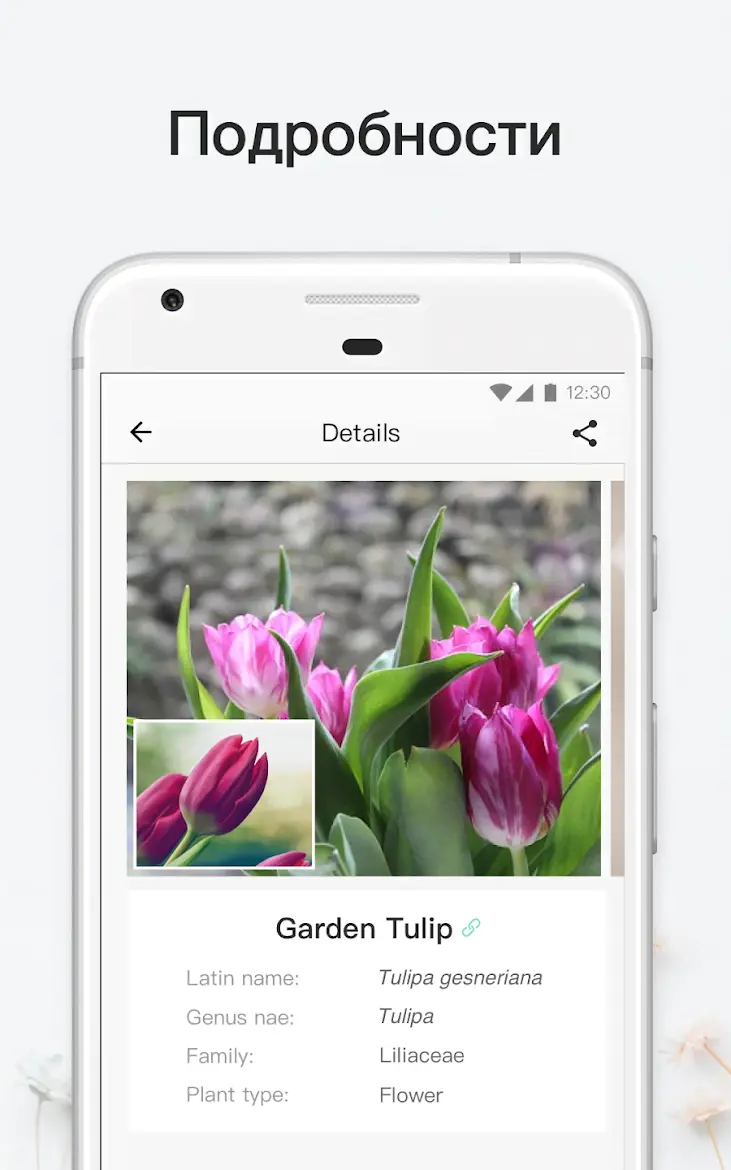 PictureThis - скриншот 3