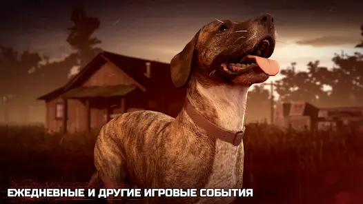Into the Dead 2 - скриншот 4