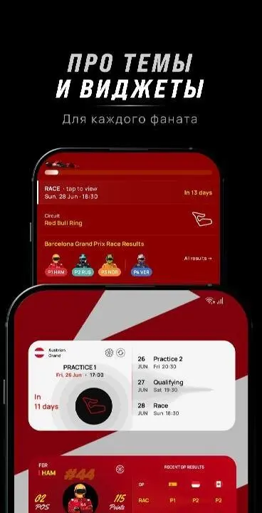 Purple Sector: Formula Widgets - скриншот 2
