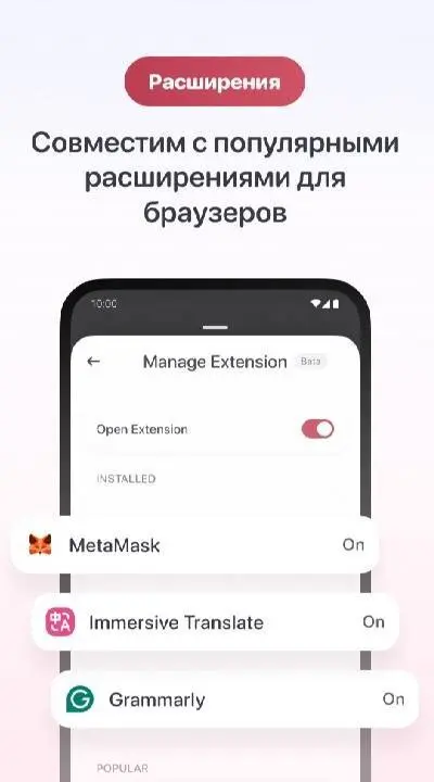 Quetta - Video Adblock Browser - скриншот 3