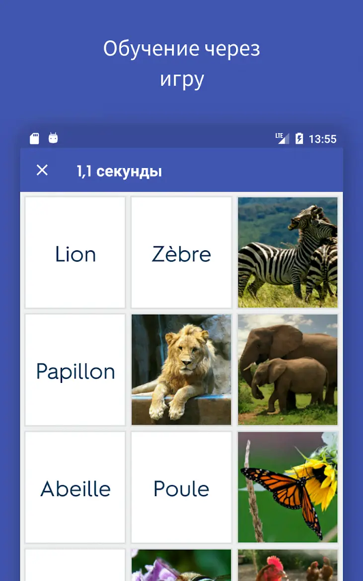 Quizlet - скриншот 1