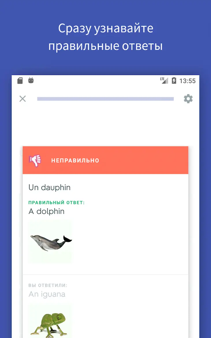 Quizlet - скриншот 3