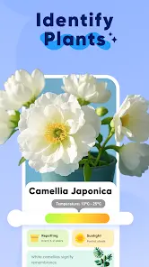 All Scanner: AI Identifier - скриншот 1