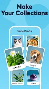 All Scanner: AI Identifier - скриншот 7