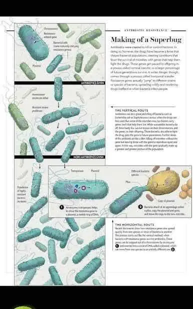 Scientific American - скриншот 2