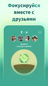 Forest: Будь сосредоточенным - скриншот 6