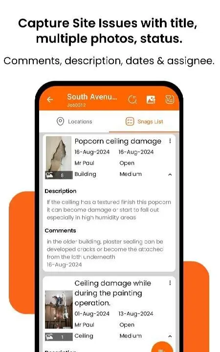 Site Report Expert: Punch List - скриншот 3