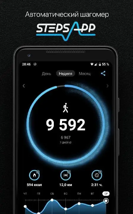 StepsApp - скриншот 1