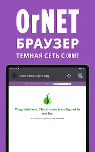 OrNET браузер - скриншот 4