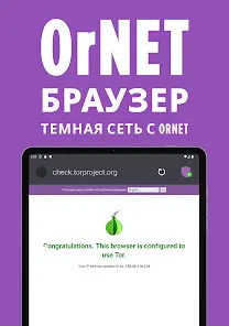 OrNET браузер - скриншот 7