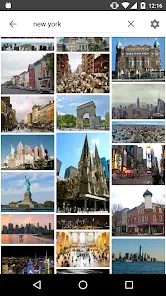 ImageSearchMan - Image Search - скриншот 1