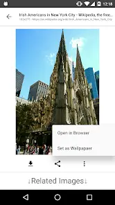 ImageSearchMan - Image Search - скриншот 3