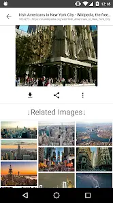 ImageSearchMan - Image Search - скриншот 4