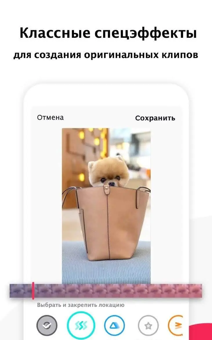 TikTok - скриншот 4