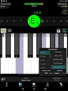 TonalEnergy Tuner & Metronome - скриншот 6
