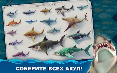 Hungry Shark World - скриншот 7