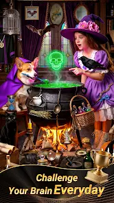 Hidden Quest:Seek & Spot Pro - скриншот 3