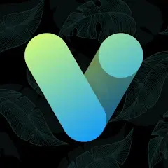 Vera Icon Pack shapeless icon