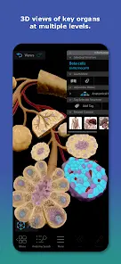 Human Anatomy Atlas 2027 - скриншот 1