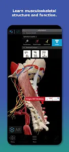 Human Anatomy Atlas 2027 - скриншот 2