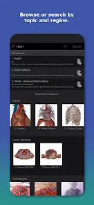 Human Anatomy Atlas 2027 - скриншот 3