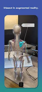Human Anatomy Atlas 2027 - скриншот 4
