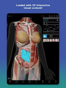 Human Anatomy Atlas 2027 - скриншот 5