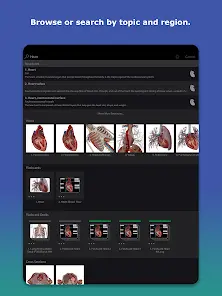 Human Anatomy Atlas 2027 - скриншот 8
